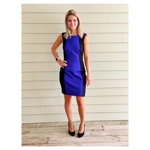 Trina Turk Royal Blue and Black Fitted Dress